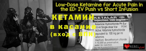 крисы Бородино