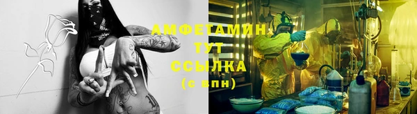 крисы Богородицк