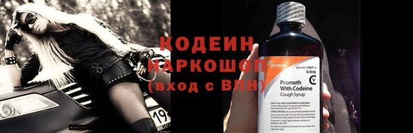 крисы Бородино