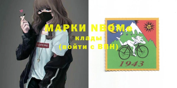 крисы Богородицк