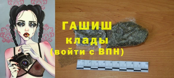 крисы Бородино