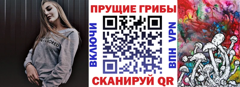 Псилоцибиновые грибы Cubensis  маркетплейс состав  Афипский 